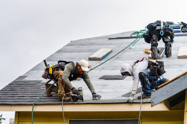 Professional Emergency Roof Repair technician working in Wolf Lake, MN